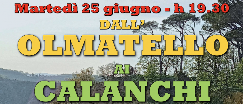 Dall'olmatello ai calanchi